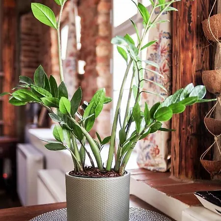 Bohemian Hideout, Old Town, * Tartu