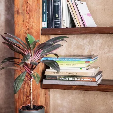 Bohemian Hideout, Old Town, Appartement Tartu