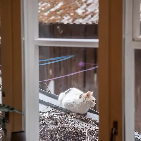 Bohemian Hideout, Old Town, Tartu