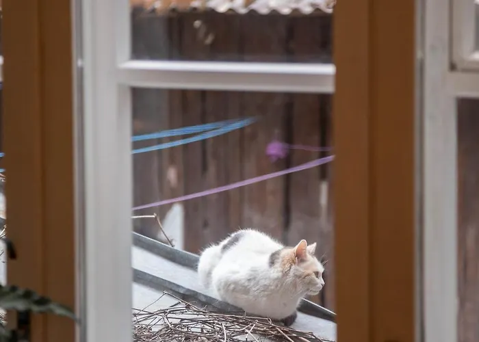 Bohemian Hideout, Old Town, Tartu